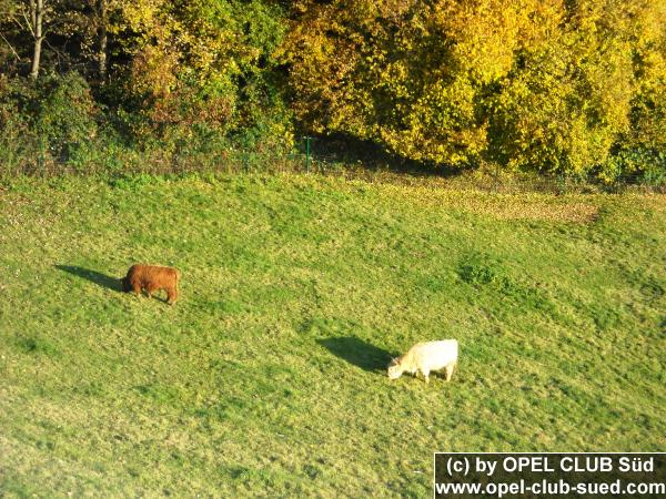 Zum Beenden - Bild anklicken