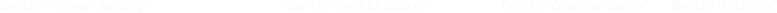 Bericht Kronen Zeitung                                         Bericht Bezirks Bltter                     Bericht Grenzlandecho       Bericht Bildpost