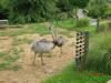 tierpark_0013