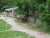 tierpark_0018