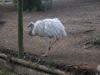 tierpark_0020