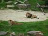 tierpark_0046