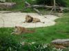 tierpark_0047