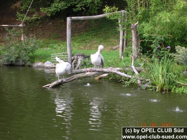 Zum Beenden - Bild anklicken