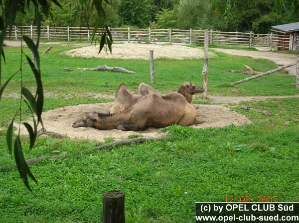 Zum Beenden - Bild anklicken