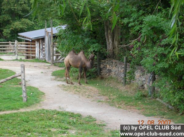 Zum Beenden - Bild anklicken