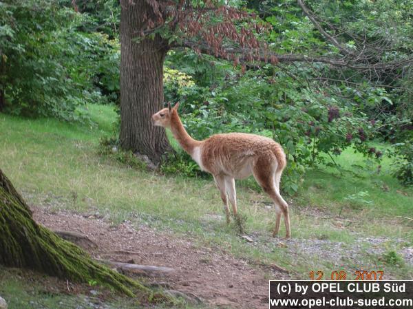 Zum Beenden - Bild anklicken