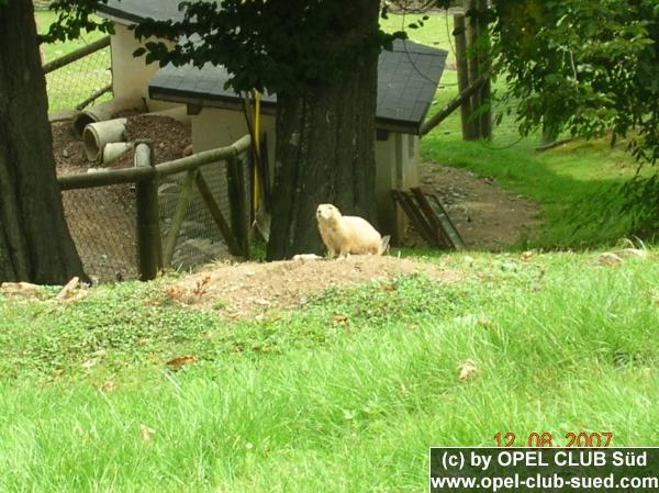 Zum Beenden - Bild anklicken