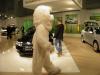 vienna_autoshow0071